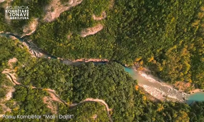 Rama ndan pamjet: Parku Kombëtar i Malit të Dajtit, mozaik i natyrës që i rri mbi krye Tiranës!