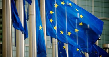 ”The Guardian”: BE-ja të hapë shpejt dyert për anëtarët e rinj, pasi nga kjo varet mbijetesa e saj