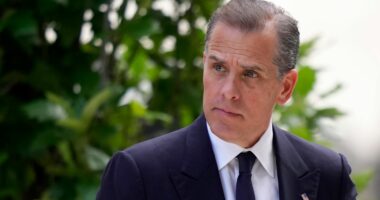 Avokati i Hunter Bidenit: Djali i Presidentit do të ndryshojë deklarimin mbi akuzat për evazion fiskal