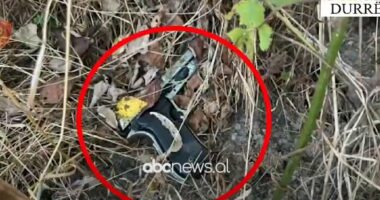 VIDEO/ Krimi brenda familjes në Durrës, momenti kur policia gjen pistoletën dhe trupin e 62-vjeçarit në pus