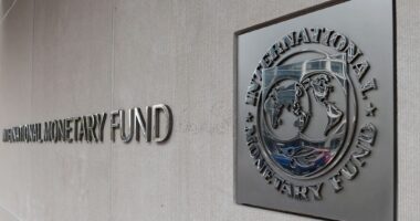 FMN rrit vlerësimin për ekonominë/ Për Shqipërinë, parashikon rritje me 3.8 përqind këtë vit