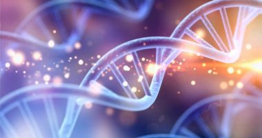 Deshifrohet ADN-ja më e vjetër e njeriut nga Afrika e Jugut