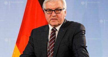 Presidenti gjerman thirrje për armëpushim në Gaza
