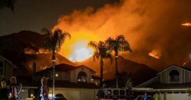 SHBA/ Los Angelos shpall gjendjen e jashtëzakonshme për shkak të zjarreve