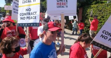 SHBA/ 10,000 punonjës hotelesh në grevë, thirrje për rritje të pagave