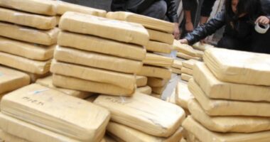 Sekuestrohen 1670 kilogramë kokainë me vlerë 33 milionë dollarë në Porto Riko