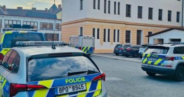 Sulm me thikë në një shkollë fillore në Çeki, nxënësi plagos dy shokë klase