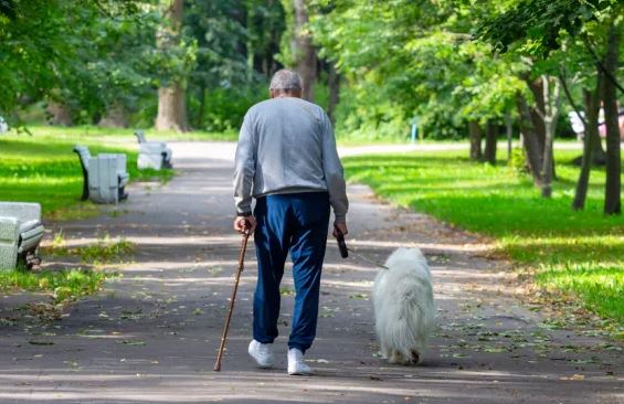 Vrasja e një 80-vjeçari në një park në Angli, arrestohen pesë adoleshentë