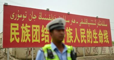 Të huajt nuk do të mund të birësojnë më fëmijë nga Kina