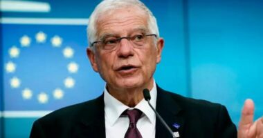 Lufta në Ukrainë/ Borrell: Dënojmë dërgimin e raketave iraniane në Rusi