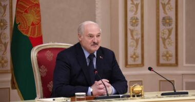 Bjellorusi, Lukashenko fal 30 të dënuar me burgim për pjesëmarrje në protesta