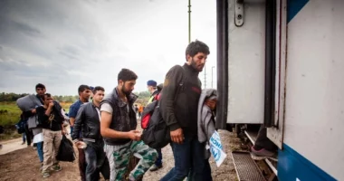 Holandë, qeveria synon të marrë masa për të kufizuar emigracionin