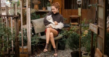 Një muze në Shangai hapi dyert e tij për macet dhe pronarët e tyre gjatë një ekspozite kushtuar Egjiptit të lashtë