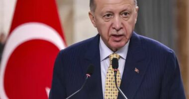 Rusia hedh poshtë deklaratën e Ukrainës për Krimenë: Nuk duhet t’i kthehet Ukrainës