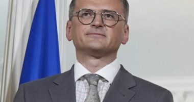 Kuleba thirrje aleatëve të lejojnë Ukrainën të sulmojë brenda territorit rus