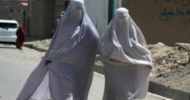 Talebanët kanë “ndrydhur” gratë, bota po sheh por po hesht