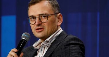 Ministri i Jashtëm i Ukrainës jep dorëheqjen