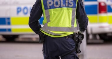 Suedi/ Adoleshenti qëllohet me armë në një shkollë, arrestohet i dyshuari