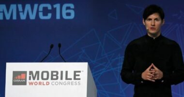 Arrestimi i themeluesit të Telegram, OKB shpreh shqetësimin për të drejtat e njeriut