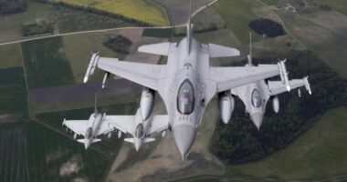 Lituania kërkon që NATO-ja të rrëzojë dronët rusë mbi Baltik