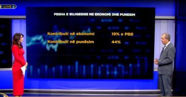 Skemat e mbështetjes për bujqësinë/ Kreu i Këshillit të Agrobiznesit: Fermerët e bashkuar kanë më shumë përparësi