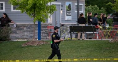 Të shtëna me armë në Michigan, vritet një adoleshent