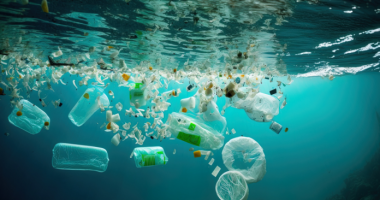 Dita Botërore e Pastrimit/ Ja pse rajoni i Arktikut ndodhet në rrezik