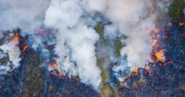 Mbi 346 mijë zjarre kanë shpërthyer në Amerikën Latine gjatë një viti