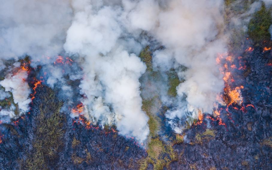 Mbi 346 mijë zjarre kanë shpërthyer në Amerikën Latine gjatë një viti