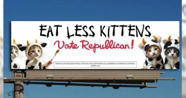 “Emigrantët hanë kafshë shtëpiake”, republikanët në Arizona vendosin tabela për të hedhur poshtë thashethemet e pabaza