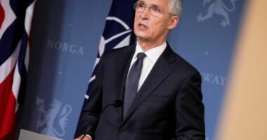 Stoltenberg: NATO mund të kishte bërë më shumë për të parandaluar luftën në Ukrainë