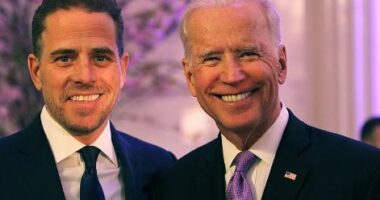Djali i Biden pranon fajësinë për evazion fiskal