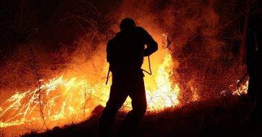 Mijëra hektarë pyje shkrumbohen në Argjentinë