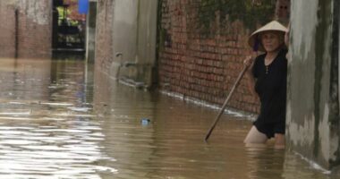Bilanc tragjik, shkon në 345 numri i të vdekurve nga tajfuni në Vietnam