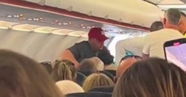 Panik në ajër/ Pasagjeri tenton të hapë derën e avionit