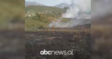 VIDEO/ Zjarr në fshatin Gresp të Krujës, era favorizon përhapjen e flakëve