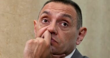 Vulin do të takohet me Putinin më 4 shtator në Rusi