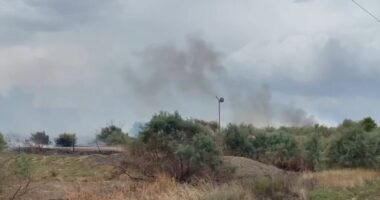 Zjarr në Vlorë, preket një sipërfaqe e konsiderueshme me bimësi