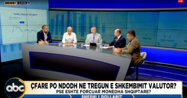 Ndryshimet në tregun valutor/ Gjergji: Rënia e euros, fenomen i tregut të brendshëm. Babameto: Ndikim, edhe integrimi në ekonominë botërore