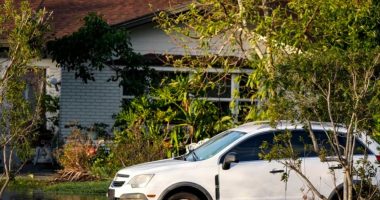 SHBA, ndikimi i uraganëve të njëpasnjëshëm tek fushata presidenciale