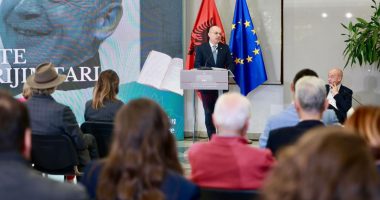 Nisma e MEPJ, Hasani: Promovim profesionistëve të Diasporës