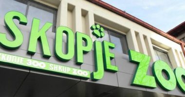 Mbyllet kopshti zoologjik në Shkup, dyshohet për praninë e gripit të shpendëve