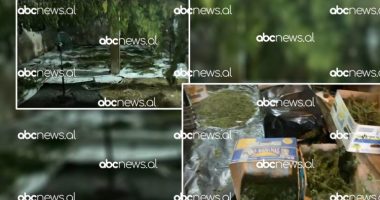 Magazina me drogë në Korçë/ Procedohen penalisht dy elektricistë, ja akuzat