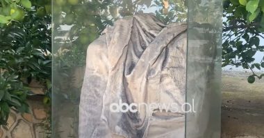 Skulptura nga antikiteti/ Vlorë, arkeologët gjejnë veprën e shekullit të parë para Krishtit