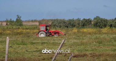 Aplikimet për investime në bujqësi/ Fier, interes i lartë nga fermerët për serat diellore për perime