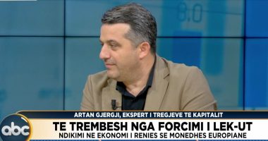 Tregu i shkëmbimit valutor/ Gjergji: BSH ka bërë ndërhyrje perfekte, por mund të ketë transparencë më të madhe