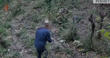 EMRI/ U kap në flagrancë, duke prerë bimët narkotike që kishte kultivuar, arrestohet 49-vjeçari në Përmet