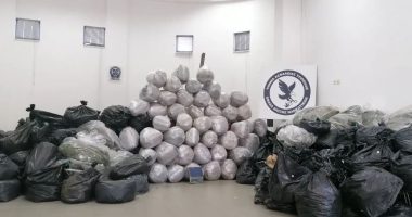 EMRI/ Zbulohet plantacioni me marijuanë në Greqi, sekuestrohen 1.4 ton drogë. Pranga shqiptarit