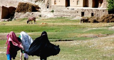 Talibanët ndalojnë shfaqjen e fotografive të njerëzve dhe kafshëve në media