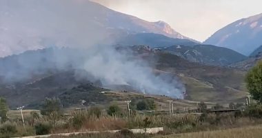 VIDEO/  Vlorë, digjen sipërfaqe me bimësi, zjarri dyshohet i qëllimshëm